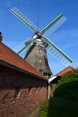 Accumer Mühle_1.JPG